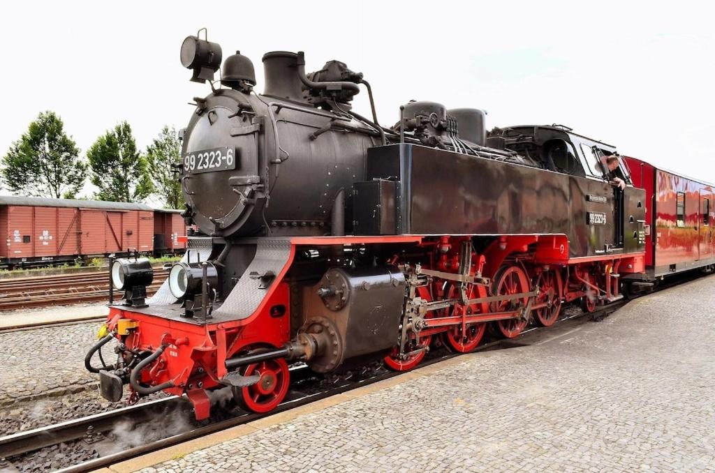 Gemuetliche Oase 22 * Kuehlungsborn